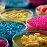 Illustrazione di microbiota intestinale per evidenziare i benefici del fasting sulla microbiota e declino cognitivo