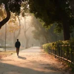Persona che esegue la camminata dopo i pasti per la digestione in un parco soleggiato.